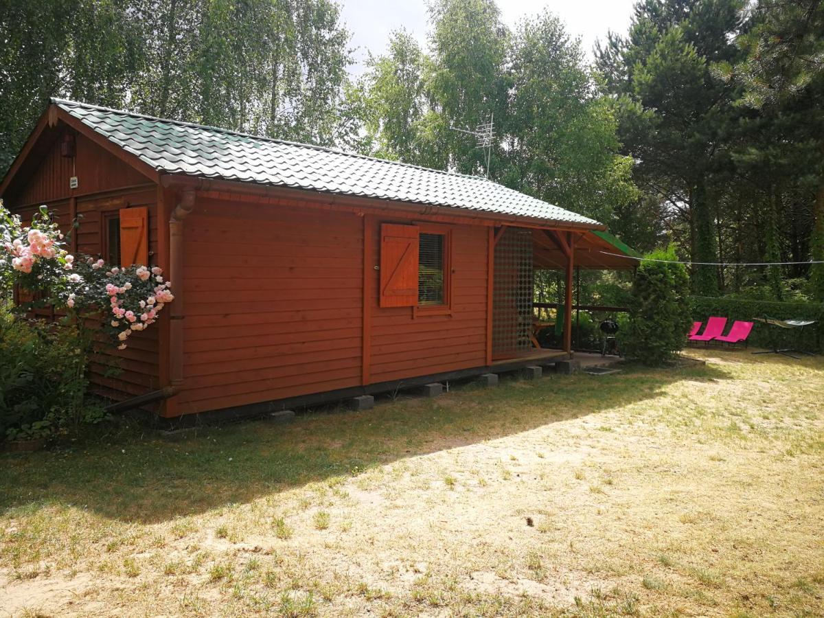 Na Jeziorem Wilczynskim: Lakeside With A/c Zygmuntowo (Konin)